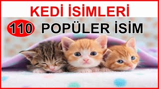 En Sevilen Popüler Kedi İsimleri 110 İsim [upl. by Nosnah351]