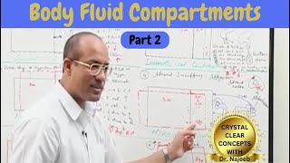 Body Fluid Compartments  IV Fluids  Types amp Uses Part 2 [upl. by Kelcie]