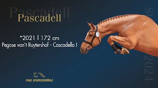 Pascadell ENG [upl. by Musetta]