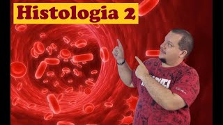 Histologia 2  Tecidos conjuntivos 1 [upl. by Ysabel]