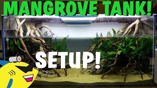 MANGROVE STYLE AQUARIUM SETUP NEW TANK Pt2 [upl. by Latnahs]