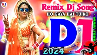 hindi song dj  new hindi song remix 2024 Rj Life RemixAllTimeHitsDj [upl. by Schott]