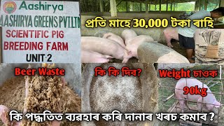 গাহৰিক Beer Waste কি পদ্ধতিত ব্যৱহাৰ কৰি দানাৰ খৰচ কমাব Low Cost Pig FeedBeer Waste [upl. by Dnalor]