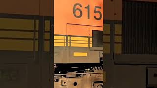 ALMOST MISSED THIS SPECIAL BNSF UNIT railroad bnsfrailroad bnsf [upl. by Gnoz]