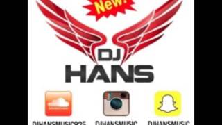 Haa  Zora Randhawa  Mofolactic Dj Hans  Remix Song [upl. by Serrano145]