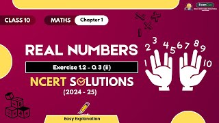 Class 10 Maths Ex  12 Q3 ii Solution  Ch  1 Real Numbers  New NCERT  CBSE  Examcue 202425 [upl. by Leia]