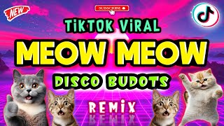 MEOW MEOW BUDOTS  DISCO TIKTOK VIRAL 2024   DJ DARVIN REMIX [upl. by Ttihw]