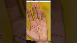 Long heart line palmistry palmistery palmreading [upl. by Aleekahs]