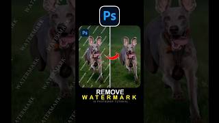 Remove Watermark In Photoshop ✅ photoshop adobephotoshop photoshoptutorial [upl. by Norvil]