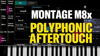 Montage M8x polyphonic aftertouch [upl. by Cheryl]