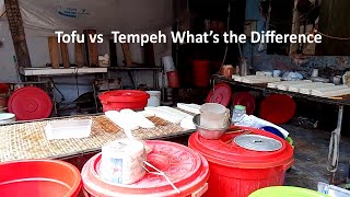 Tofu vs Tempeh What’s the Difference [upl. by Cordell]