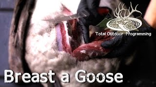 How to Breast a Goose or Duck  Skinning amp Cleaning  Waterfowl Hunting Tips [upl. by Isayg]