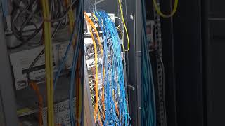 Kunden Besuch Server einsetzen server programmierung cloud Serverschrank [upl. by Eidarb]