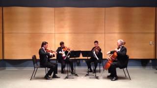 Millenius String Quartet  Edelweiss The Sound of Music [upl. by Aziar]