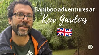 Bamboo adventures at Kew Botanical Gardens London [upl. by Ibib585]