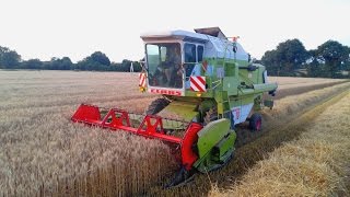 Moisson de blé 2016  Claas Dominator 76 Gopro [upl. by Monson]