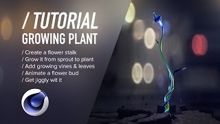 C4D TUTORIAL  Growing Plant Cinema 4D [upl. by Hettie]