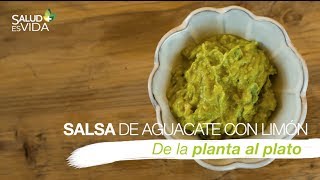 Salsa de aguacate con limón [upl. by Rosana]