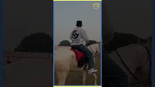 🔥🔥 gippygrewal [upl. by Chariot]