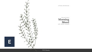 Morning Mood String Orchestra  Edvard GriegArr Mekel Rogers [upl. by Bondon]