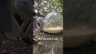 Filling Human Hamster Ball With Popcorn shorts [upl. by Abel68]