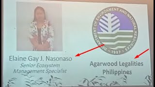 Agarwood Farming In The Philippines 101  THE LEGAL WAY  DENR APPROVED  AGARWOOD 2024 [upl. by Enenaj]