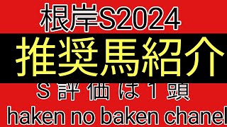 根岸ステークス2024 最終追切確認後の推奨馬紹介 S評価は1頭 [upl. by Depoliti]