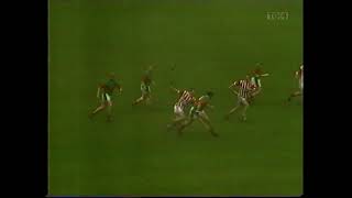 2002 Leinster Club Hurling Final Birr v Young Irelands [upl. by Ahsitauq78]