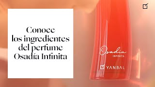 ¿Ya conoces el nuevo perfume Osadía Infinita ⚡  Yanbal [upl. by Evadnee841]