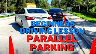 Learn How to Parallel ParkDrivers Test Preparation [upl. by Gorski]