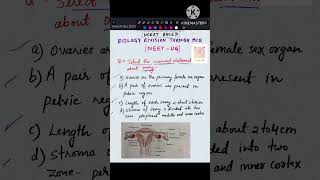 Q 135 Ovary  Female reproductive system  NCERT biology mcq neet biology cuet pw mbbs aiims [upl. by Eelyek]