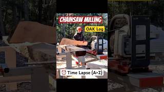 Logosol F2 Chainsaw Milling  Oak Log Time lapse ⏰  stihl chainsawmilling logosol [upl. by Orutra]