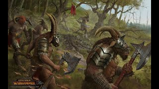 Beastmen  Morghur making an AOE machine [upl. by Meriel]