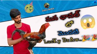 Lucky draw మన చానల్లో మొదటి లక్కీ డ్రా తక్కువకే పెట్టానుchicken lucky luckydraw [upl. by Lig793]