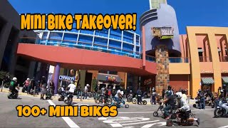 MINI BIKE TAKEOVER UNIVERSAL STUDIOS 100 Mini Bikes [upl. by Irolam]