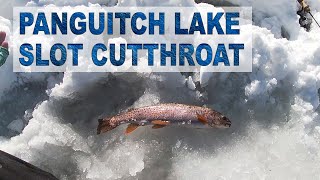 Panguitch Lake Cutthroat Trout Ice Fishing 2021 Utah Winter RAINBOW w FINALLY FISHING [upl. by Lyman]