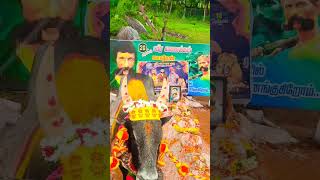 Veerappan mass video Tamil popular video PMK kaduvathyar boys whatsapp instagram status 🥰 [upl. by Beryle941]