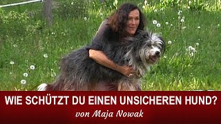 WIE SCHÜTZT DU EINEN UNSICHEREN HUND  von Maja Nowak [upl. by Savitt231]