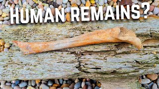 Herne Bay Beach combing  Human remains live ammunition and dodgy fishing tackle finds [upl. by Iphigenia106]