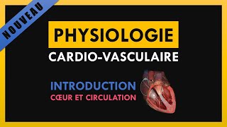 Physiologie CardioVasculaire  Introduction  Cœur et circulation [upl. by Acinnor940]