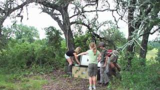 Wild Quail Release 070310 [upl. by Darryl791]