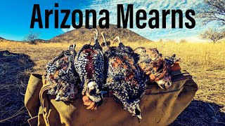 Arizona Mearns Quail Hunting  2023  Vol 1 [upl. by Lemraj]