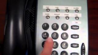 Basic Office Phone Procedures [upl. by Lezti]