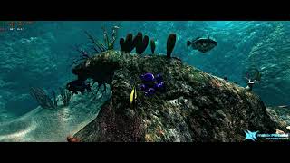 219 Matrox Coral Reef Tech Demo with Reshade [upl. by Ahsenev]