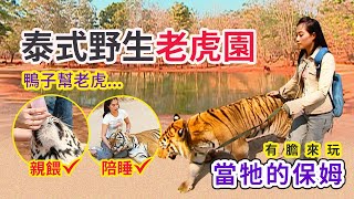 【泰國】鴨子幫老虎洗澡、親餵、陪睡！當牠的保姆？泰式野生老虎園 有膽來玩！ │《經典好節目》世界正美麗精選版回顧系列 [upl. by Dulci]