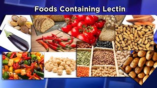 Lectins The New Diet Enemy [upl. by Bourgeois]