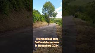 Trainingslauf zum Seifenkistenrennen in Rauenberg 2024 seifenkiste seifenkistenrennen soapbox [upl. by Adnauqaj]