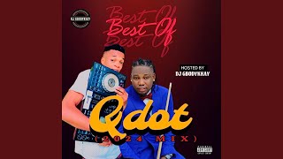 Best Of Qdot 2024 feat DJ Gbodykhay Mixed [upl. by Ainekahs]