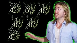 The Hive Mind in the Real World Because Science w Kyle Hill [upl. by Nivej]