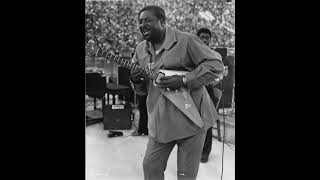 Albert King  Grant Park  Chicago Blues Festival  61168 SBD  Full Concert [upl. by Eibloc618]